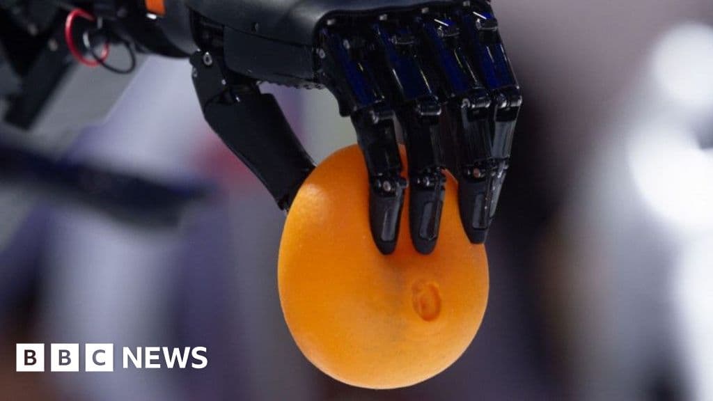 Navigating the Future of Affordable Robotic Hands: Opportunities and Challenges