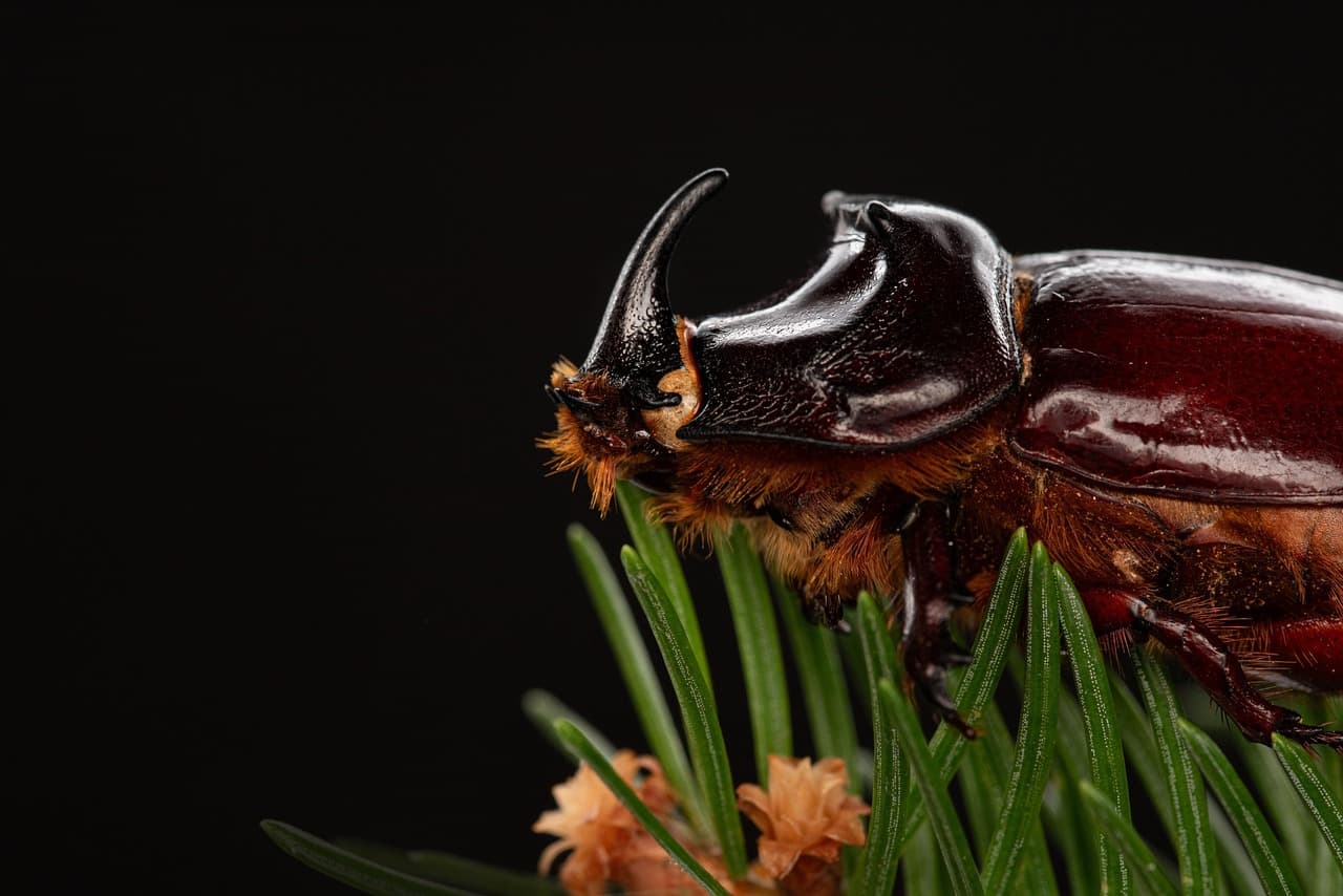 The Takeaway: Cisco Bug Sparks Global Espionage Alert