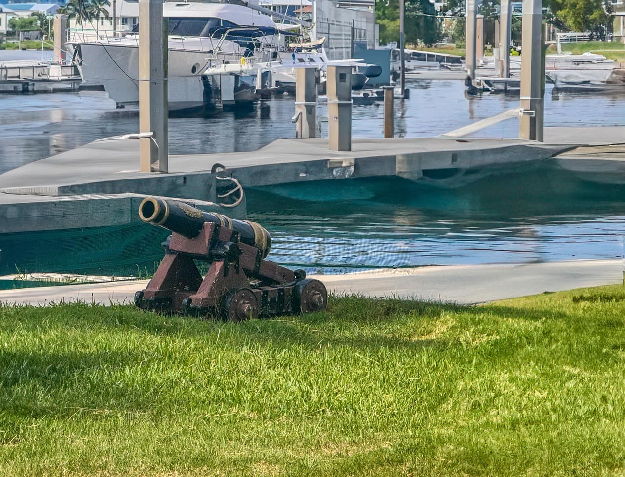 ANALYSIS Dhanush Howitzers Order Amid Quality Concerns