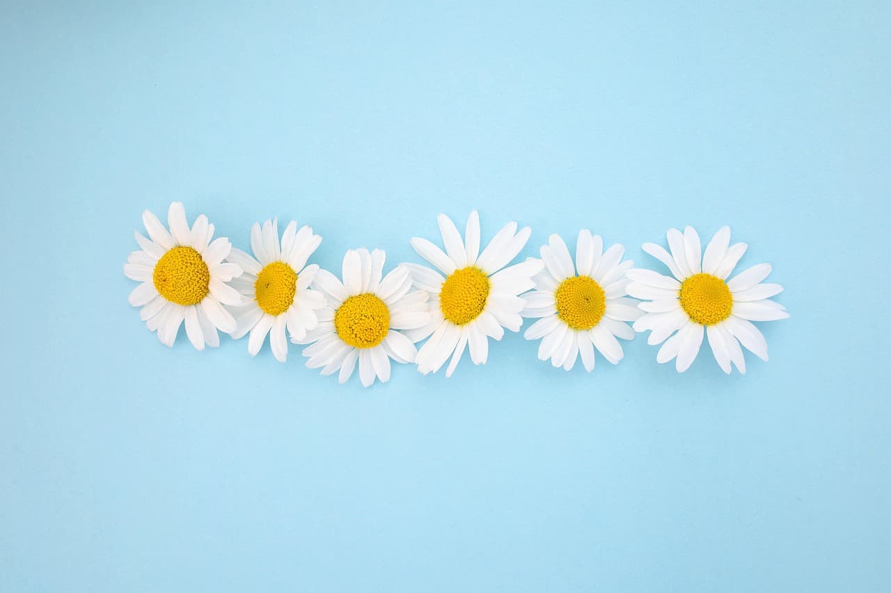 HTTPS Migration Causes Google Ranking Drop for 15-Year Financial Website