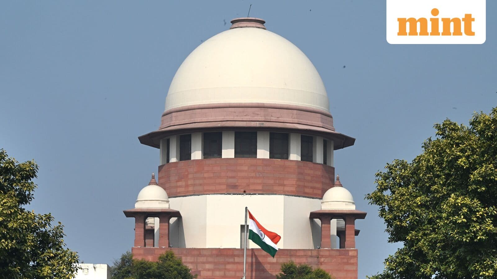 Navigating Regulatory Challenges in Food Labeling: Strategic Insights for Industry Stakeholders